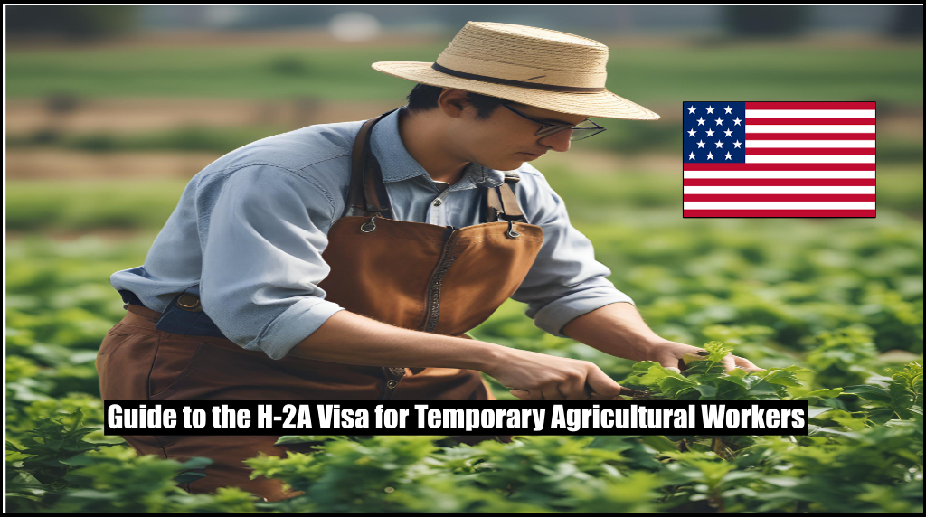 Guide to the H-2A Visa for Temporary Agricultural Workers