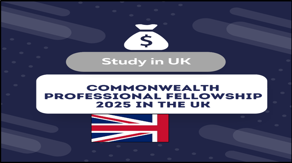 Commonwealth Professional Fellowship 2025 in the UK