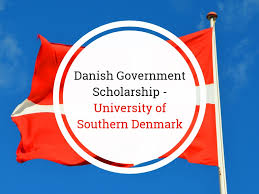 Danish Government Scholarship 2025